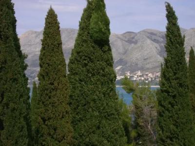 Villa Anka - 36