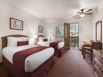 Palm Mountain & Spa - 71