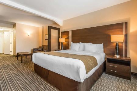 Comfort Suites Downtown - 6
