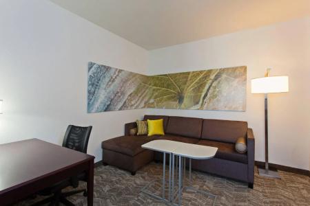 SpringHill Suites by Marriott - 54