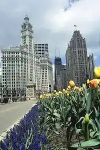 Intercontinental Chicago Magnificent Mile, An Ihg - 22