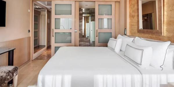 Melia Madrid Princesa - 75