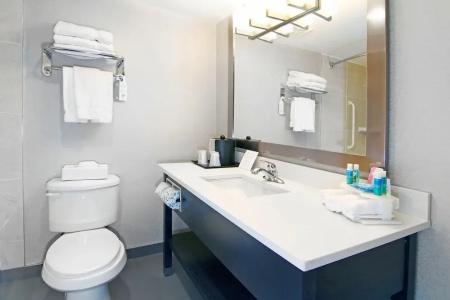 Holiday Inn Express and Suites, an IHG - 83
