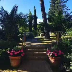 Toscana Village - 22