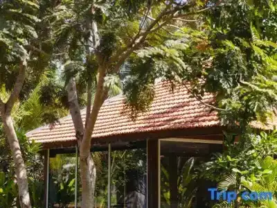 Paradise Island - 149
