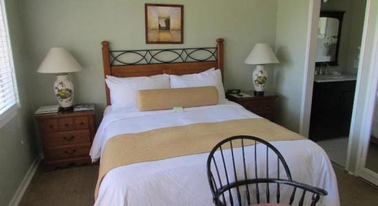 The Colonial Terrace - 4
