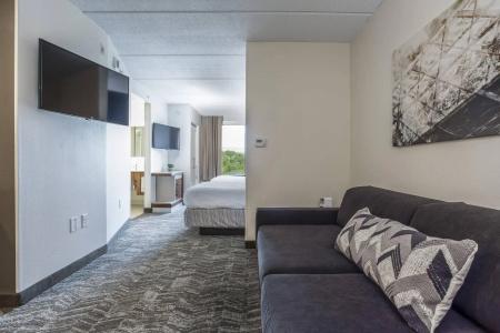 SpringHill Suites by Marriott Austin Northwest/The Domain Area - 58
