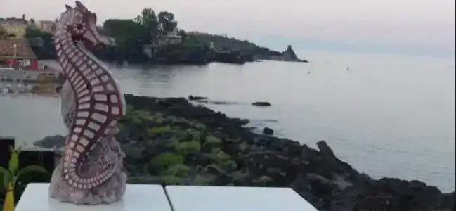 Il Cavalluccio Marino Fronte Mare - 23