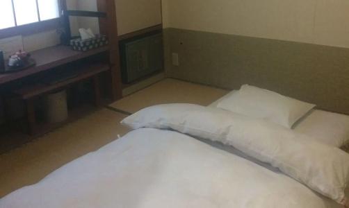 Ryokan Meiryu - 0