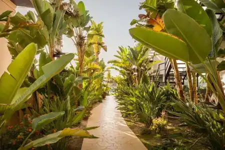 Alegria Palacio Mojacar Adults Only - 31