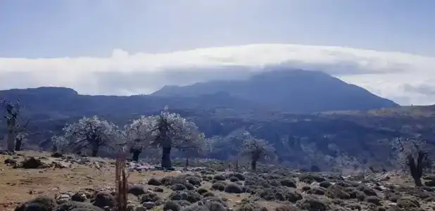 Sierra Hidalga - 40