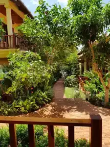 Free Beach Resort - 33