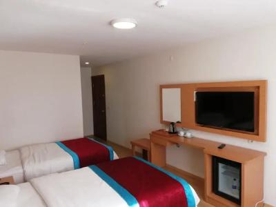 Bursa şahin - 2