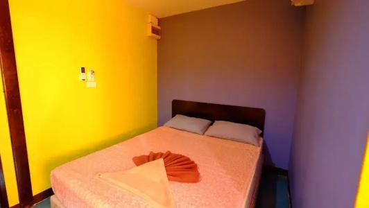 Rc Guest House - 41