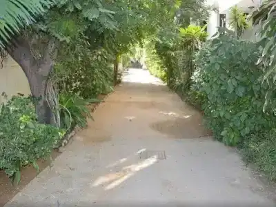Shahar Palace - 23