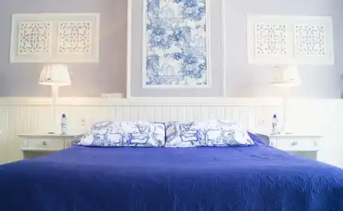 Vondelpark House b&b - 2
