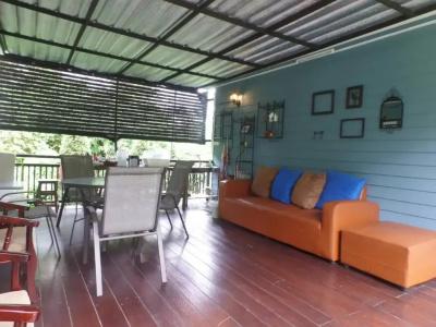 Baan JaoKorKluay บ้านเจ้ากอกล้วย - 3