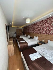 Van Diana Otel - 24
