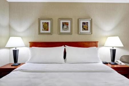 Holiday Inn Montreal, An Ihg - 61