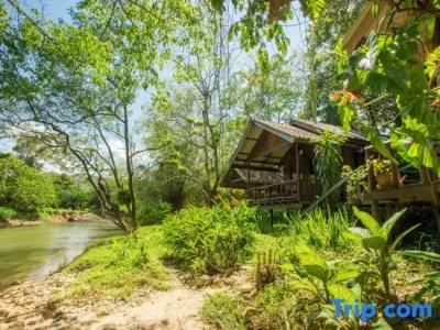 Khaosok Riverside Cottages - 101