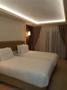 Grand Marcello - 73
