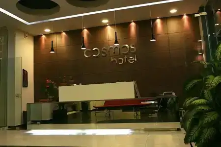 Cosmos - 1