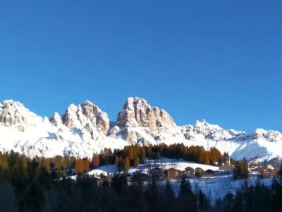 Garnì Miramonti - 40