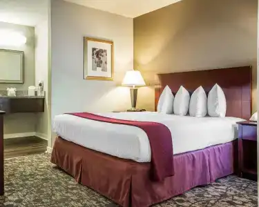 Quality Suites Atlanta Buckhead Village North - 4