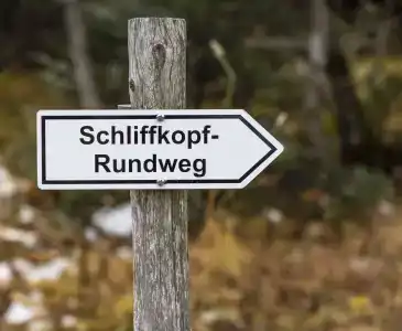 Nationalpark-Schliffkopf - 33