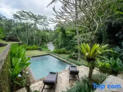 Villa Semana & Spa - 252