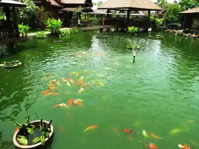 Pongsin Resort - 12