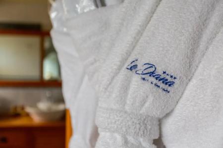 Le Diana hôTel & Spa Nuxe - 53