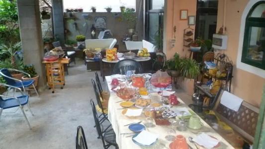 The Garden - 11