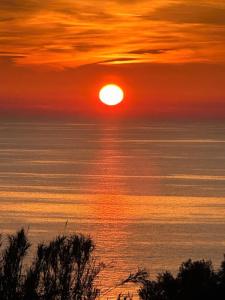 Ideal - 23