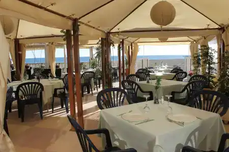 Polamar - 14