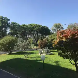 Nuova Barcaccia - 26