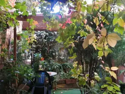 The Garden - 9