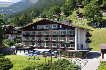 Restaurant Alpina - 13