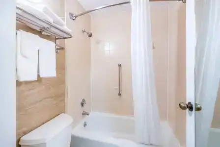 Quality Inn-Central Park Area - 53
