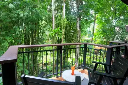 Khaolak Merlin Resort - Sha Extra Plus - 82
