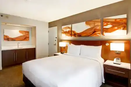 Hilton/Meadowvale - 49