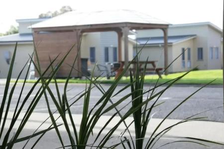 Golden Palms - 27