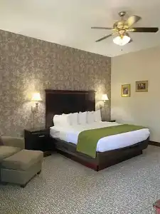Quality Inn South - 73