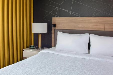 SpringHill Suites by Marriott Convention Center - 3