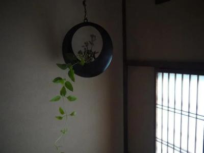 Traditional Kyoto Inn Serving Kyoto Cuisine Izyasu - Former Ryokan Izuyasui - 17