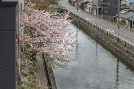 Tofukuji Riverside - 40