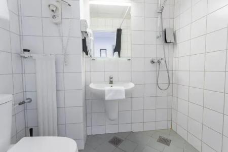 ProfilHotels Mercur - 113