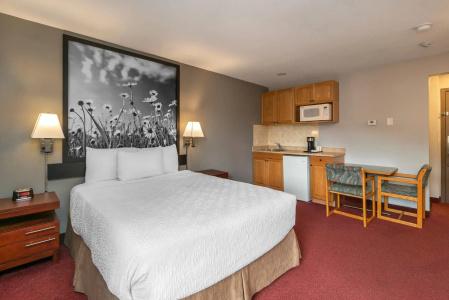 Quality Inn & Suites - 49