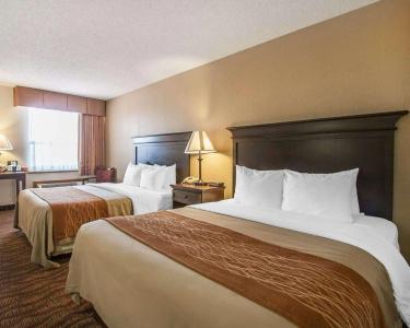 Comfort Inn at Thousand Hills - 2