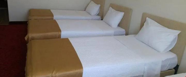 Butik Ertur - 5